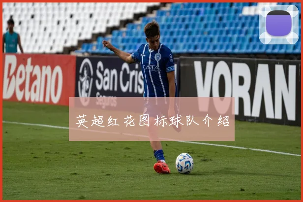 英超红花图标球队介绍